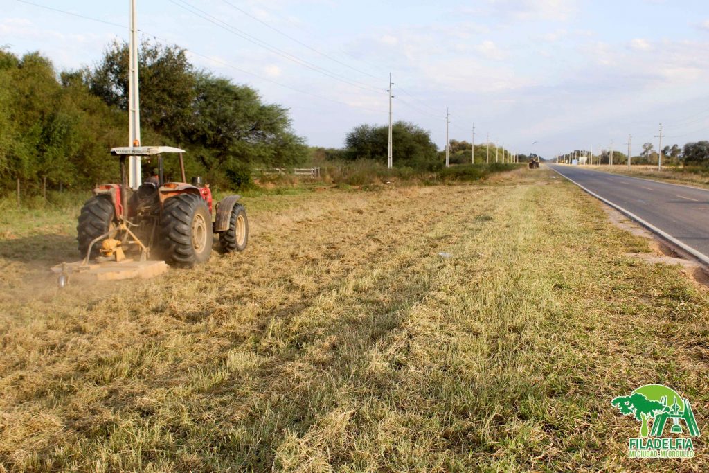 Filadelfia: Ante malezas y quemazones inician limpieza de franja de dominio