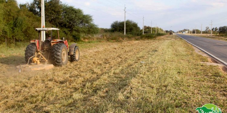 Filadelfia: Ante malezas y quemazones inician limpieza de franja de dominio Filadelfia: Ante malezas y quemazones inician limpieza de franja de dominio