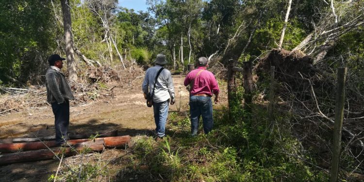 Fiscal investiga compra de tierras para indígenas con sobrecosto de 7.000 millones Fiscal investiga compra de tierras para indígenas con sobrecosto de 7.000 millones