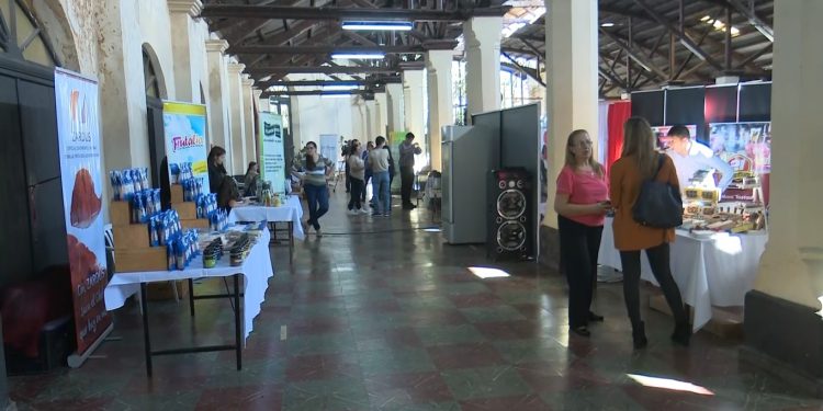 Unas 45 micro, pequeñas y medianas empresas participan de Expo Mipymes Teeté