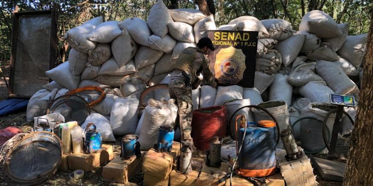 Senad desmanteló campamentos con 12 toneladas de marihuana en Amambay Senad desmanteló campamentos con 12 toneladas de marihuana en Amambay