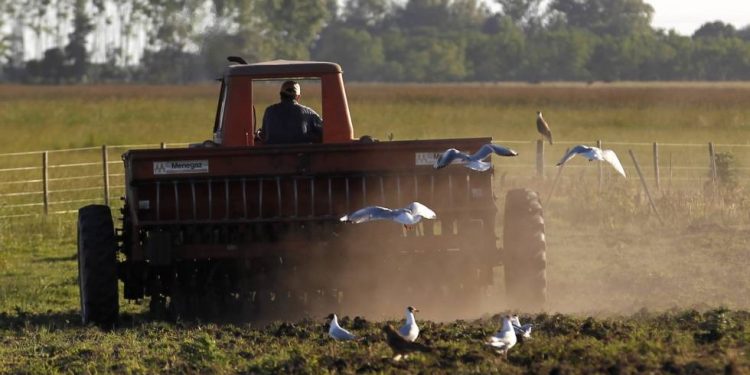 Economía argentina repunta por primera vez desde el inicio de la crisis