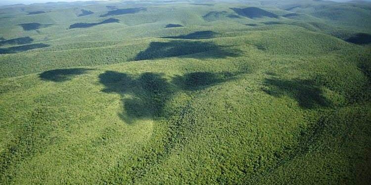 MADES sigue analizando la elaboración del Código Ambiental Paraguayo