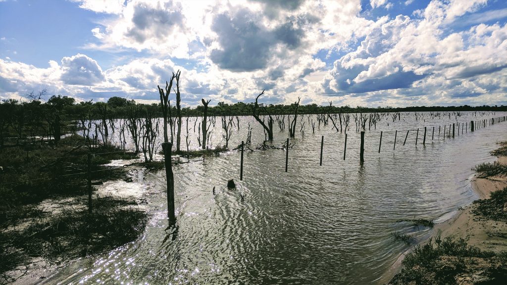 Se pronostica un martes cálido y con vientos del sureste Se pronostica un martes cálido y con vientos del sureste