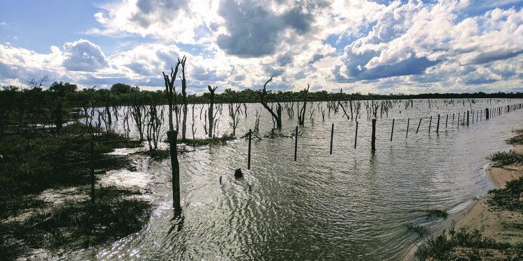 Se pronostica un martes cálido y con vientos del sureste