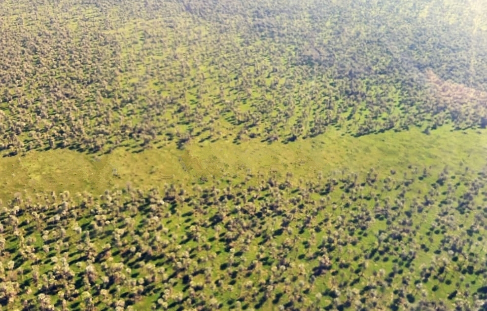 MOPC proyecta abrir nuevo camino en el Chaco