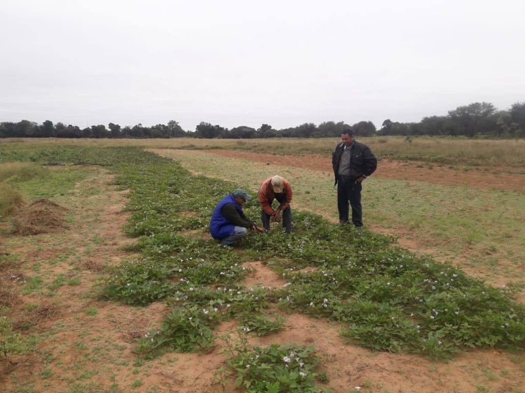 Presencia del MAG contribuye al desarrollo rural de Boquerón