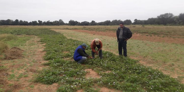 Presencia del MAG contribuye al desarrollo rural de Boquerón