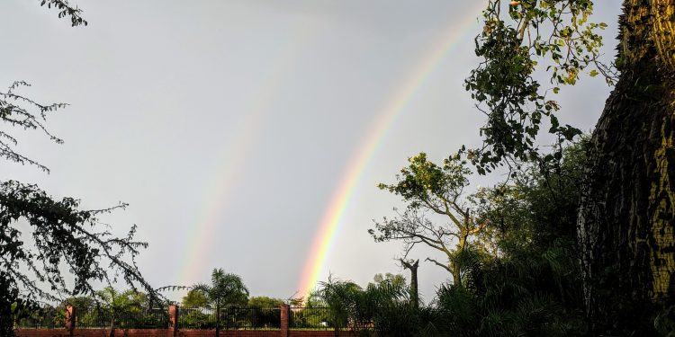 Inicio de semana laboral cálido con precipitaciones dispersas