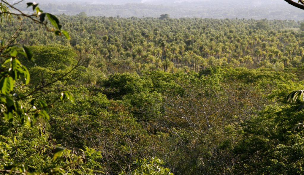 Darán taller sobre servicios ambientales para comunidades indígenas del Chaco