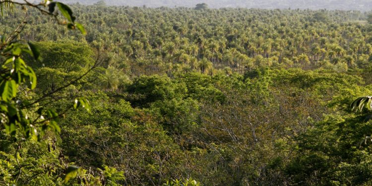 Darán taller sobre servicios ambientales para comunidades indígenas del Chaco
