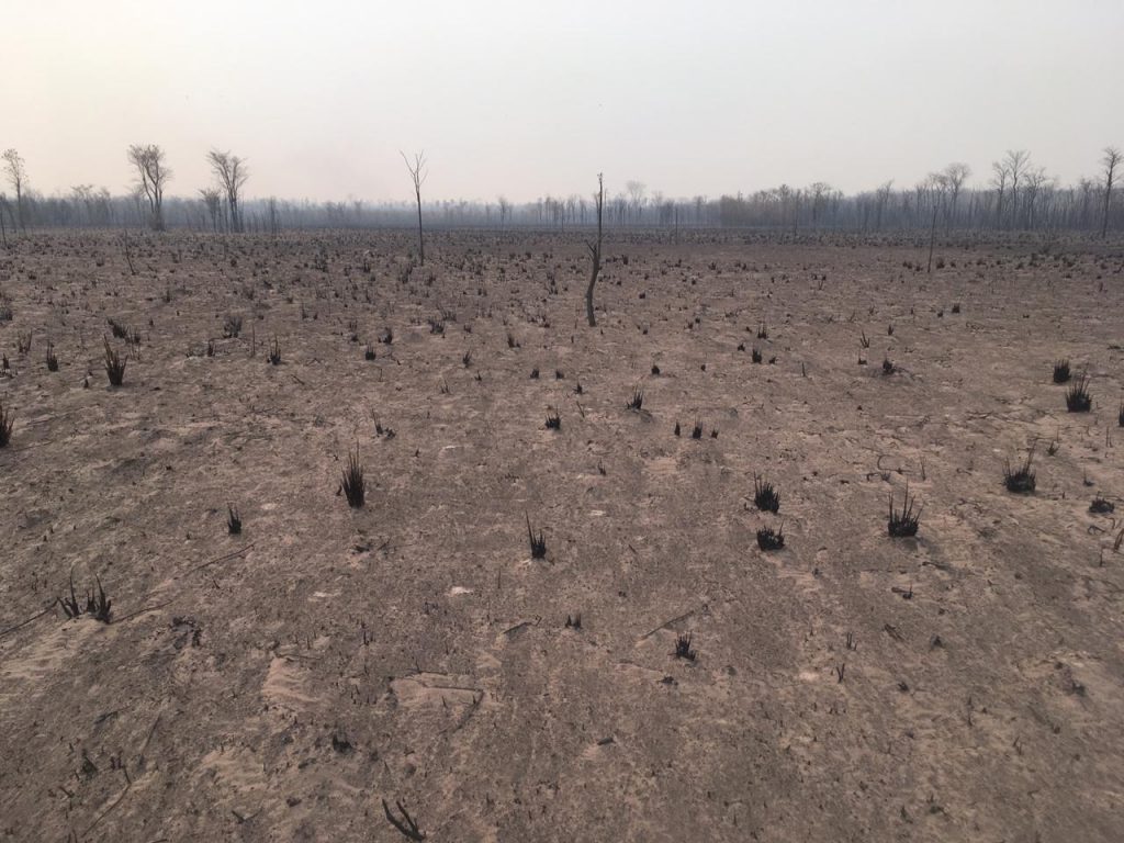 Grandes pérdidas tras incendio Forestal en la Reserva Pantanal Paraguayo