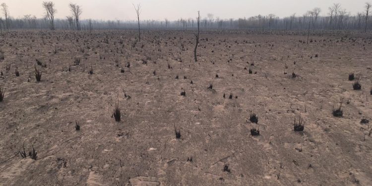 Aprueban emergencia ambiental para Alto Paraguay y Boquerón Aprueban emergencia ambiental para Alto Paraguay y Boquerón