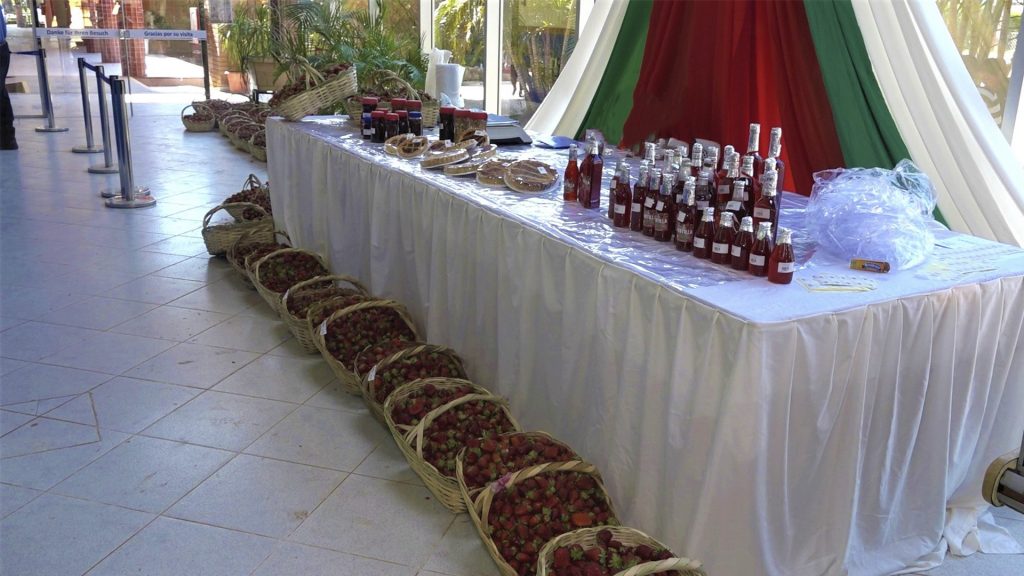 Invitan a degustar de frutilla directamente de Areguá para el Chaco