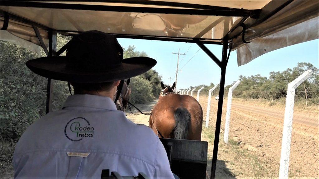Paseos en Sulkys: un viaje en el tiempo hacia el antiguo chaco Paseos en Sulkys: un viaje en el tiempo hacia el antiguo chaco