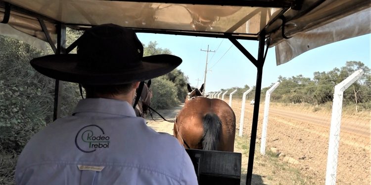 Paseos en Sulkys: un viaje en el tiempo hacia el antiguo chaco Paseos en Sulkys: un viaje en el tiempo hacia el antiguo chaco