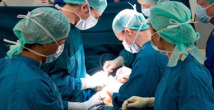 Según el INAT la reglamentación de la Ley Anita trajo buenos resultados Según el INAT la reglamentación de la Ley Anita trajo buenos resultados