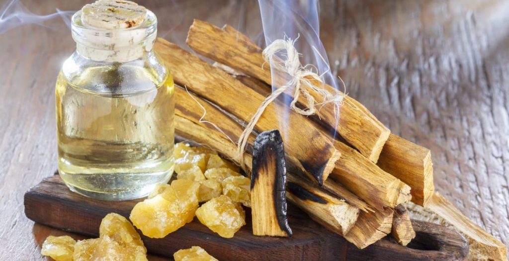 Cupo máximo de exportación de palo santo es de 1.400 toneladas Cupo máximo de exportación de palo santo es de 1.400 toneladas