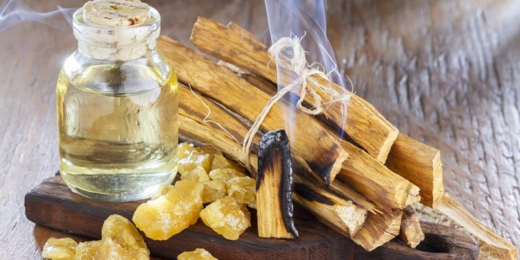 Cupo máximo de exportación de palo santo es de 1.400 toneladas Cupo máximo de exportación de palo santo es de 1.400 toneladas