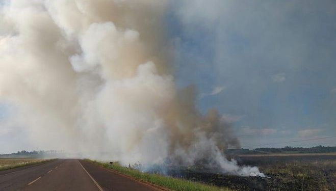 Quema de pastizales y basuras deben ser denunciadas en municipios