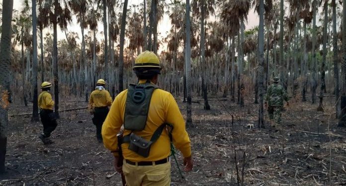 En Bahía Negra el fuego se encuentra controlado, asegura ministro En Bahía Negra el fuego se encuentra controlado, asegura ministro