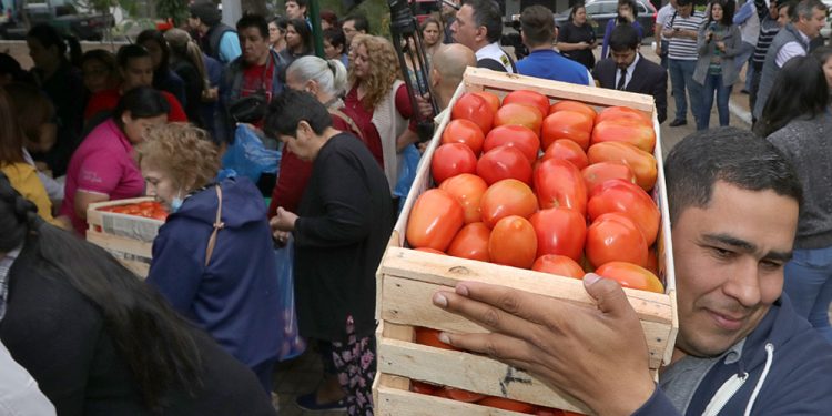 Exitosa feria de tomates: 12.000 kilos vendidos en un sólo día