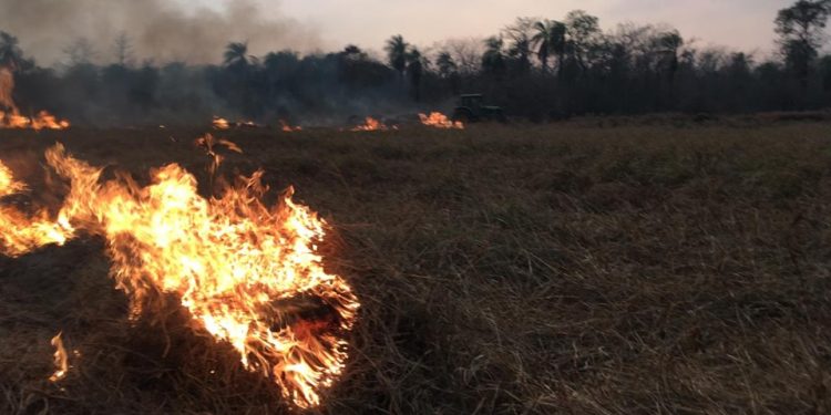 Alto Paraguay y Boquerón fueron declarados en emergencia ambiental