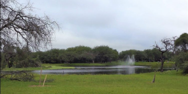 Anuncian jornada con temperaturas calurosas en todo el país