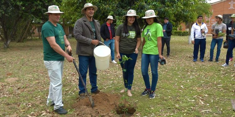 Jóvenes demuestran compromiso ambiental con plantación de árboles