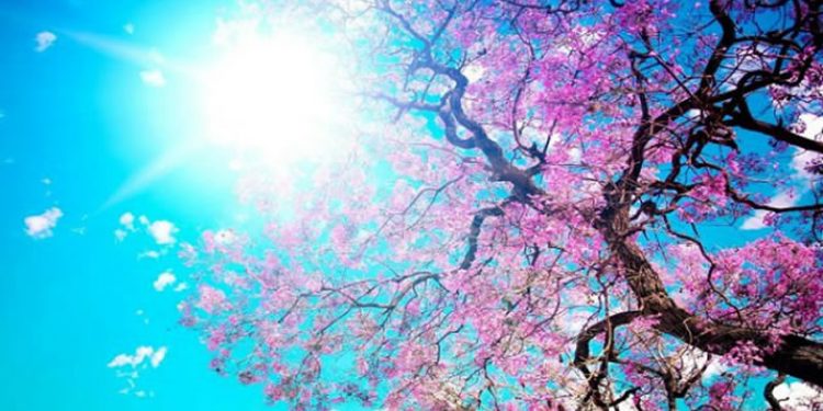 Pronostican sábado caluroso