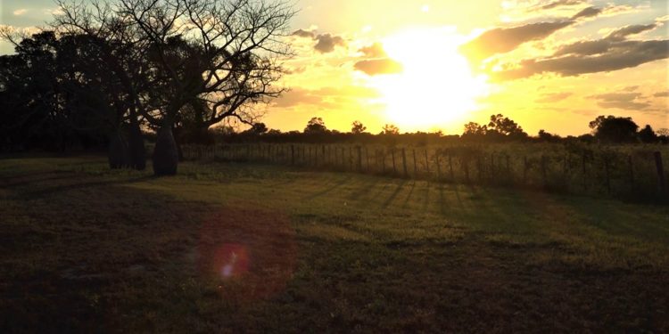 Anuncian jornada soleada con máximas de 40 grados