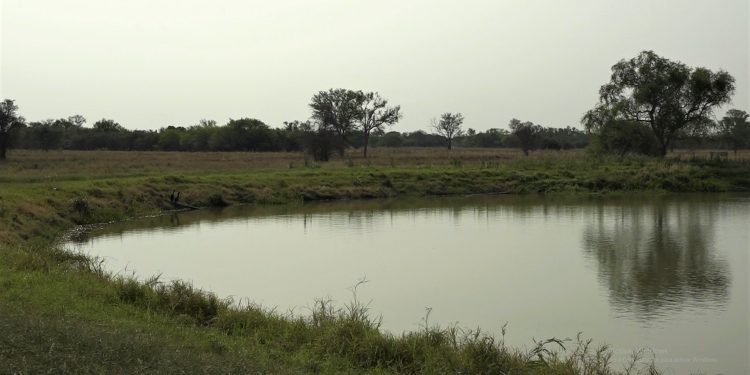 Desean financiar e instalar planta potabilizadora de agua en Yalve Sanga Desean financiar e instalar planta potabilizadora de agua en Yalve Sanga