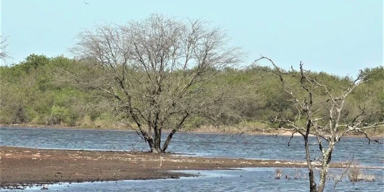 Pronostican fin de semana caluroso con vientos del norte