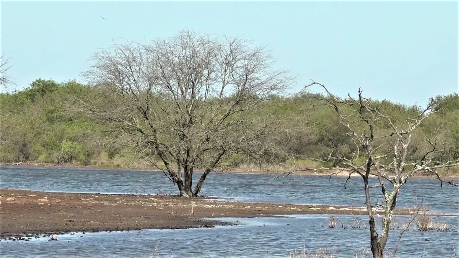 Pronostican fin de semana caluroso con vientos del norte