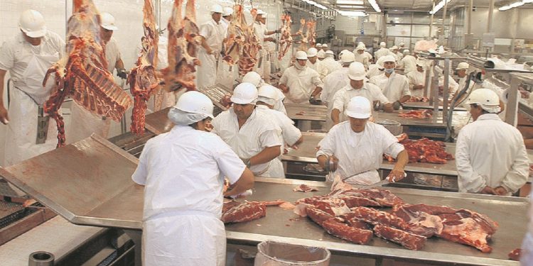 SENACSA ¿Logró aprobar Auditoría de la Unión Europea? SENACSA ¿Logró aprobar Auditoría de la Unión Europea?