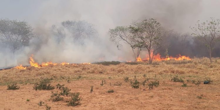 Nueva jornada de trabajo para combatientes en zonas de incendio