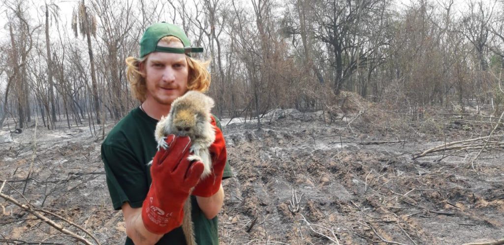 Lamentan enormes pérdidas y perjuicios a la biodiversidad del Chaco Lamentan enormes pérdidas y perjuicios a la biodiversidad del Chaco