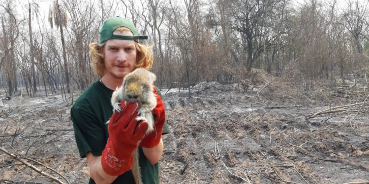 Lamentan enormes pérdidas y perjuicios a la biodiversidad del Chaco Lamentan enormes pérdidas y perjuicios a la biodiversidad del Chaco