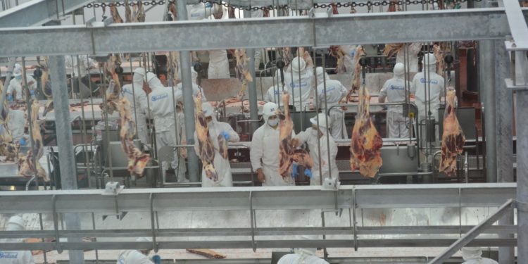 Visitan importantes industrias frigoríficas del Chaco