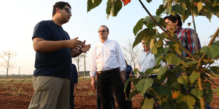 Verifican avances de reforestación en la zona de protección del embalse