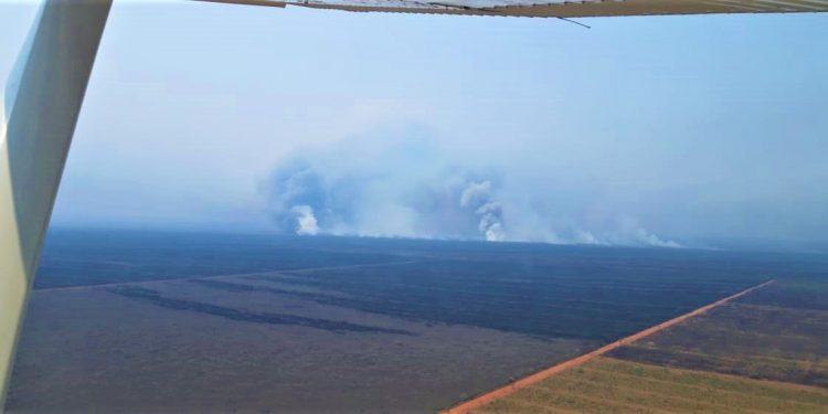 Humareda e incendios tiñen de negro la primavera en el Chaco Humareda e incendios tiñen de negro la primavera en el Chaco