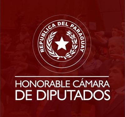 Colorados se opusieron a denominar,  régimen dictatorial a la era Stronista