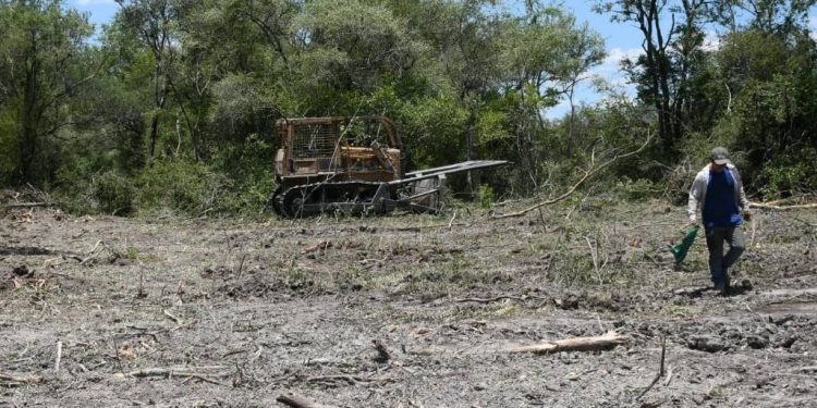 MADES impone fuerte multa a Ganadera por desmonte de 2.974 hectáreas