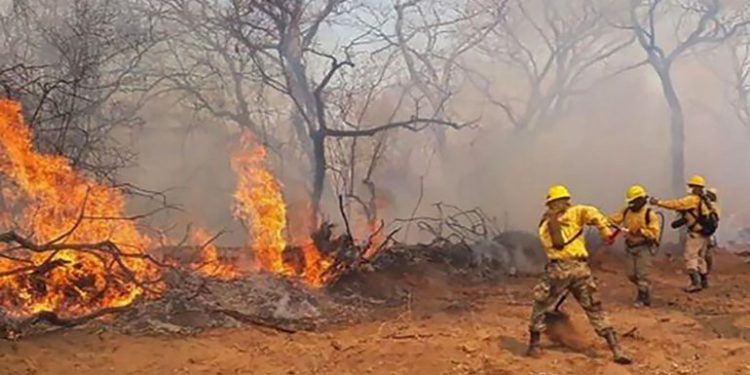 Para la SEN no amerita declarar emergencia nacional por incendios en el Chaco