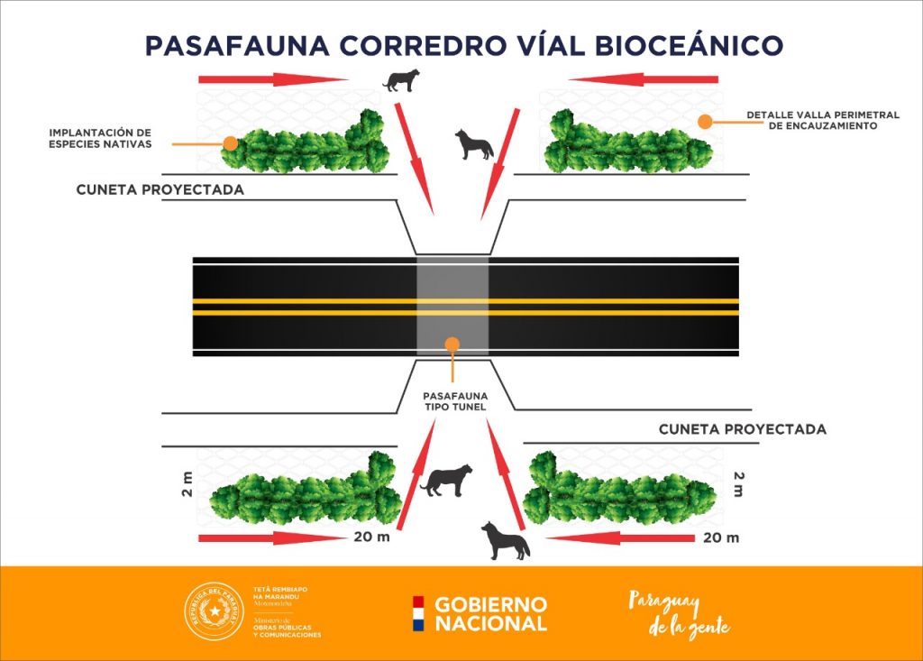 Corredor bioceánico: construirán ¨pasafaunas¨ para animales silvestres. Corredor bioceánico: construirán ¨pasafaunas¨ para animales silvestres.