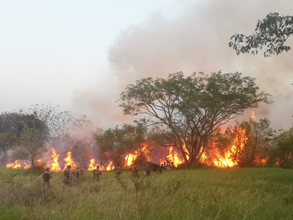 Incendio en Parque Guasú: Fiscal investiga la identificación de responsables