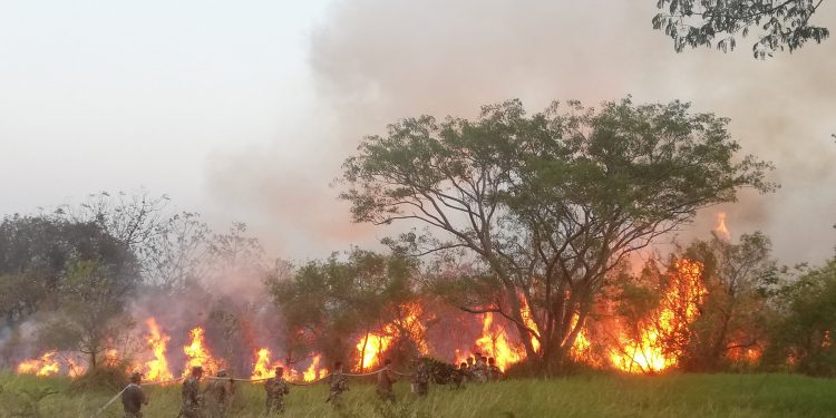 Incendio en Parque Guasú: Fiscal investiga la identificación de responsables Incendio en Parque Guasú: Fiscal investiga la identificación de responsables