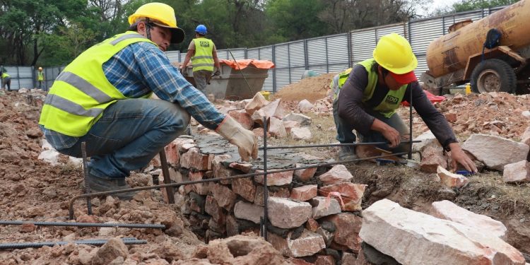 Obras avanzan con construcción de pilotes en el Botánico