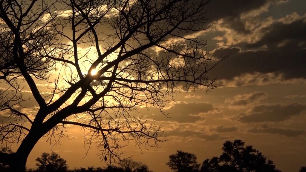 Meteorología pronostica clima fresco a cálido
