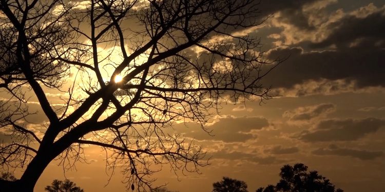 Meteorología pronostica clima fresco a cálido Meteorología pronostica clima fresco a cálido